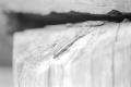 img030.jpeg.small.jpeg