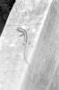img035.jpeg.small.jpeg