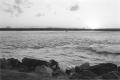 img013.jpeg.small.jpeg