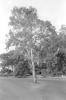 img018.jpeg.small.jpeg