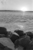img019.jpeg.small.jpeg
