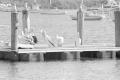 img000.jpeg.small.jpeg