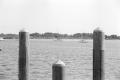 img001.jpeg.small.jpeg