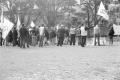 img002.jpeg.small.jpeg