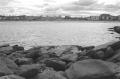 img012.jpeg.small.jpeg
