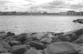 img013.jpeg.small.jpeg