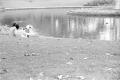 img019.jpeg.small.jpeg