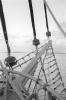 img000.jpeg.small.jpeg