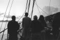 img013.jpeg.small.jpeg
