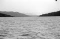 img018.jpeg.small.jpeg