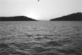 img020.jpeg.small.jpeg