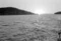 img023.jpeg.small.jpeg