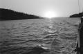 img024.jpeg.small.jpeg