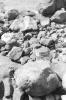 img029.jpeg.small.jpeg