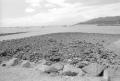 img033.jpeg.small.jpeg