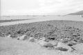 img035.jpeg.small.jpeg