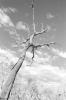 img034.jpeg.small.jpeg