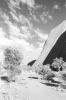 img036.jpeg.small.jpeg