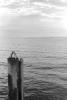 img024.jpeg.small.jpeg