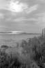 img026.jpeg.small.jpeg