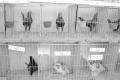 img033.jpeg.small.jpeg