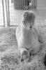 img010.jpeg.small.jpeg
