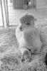 img011.jpeg.small.jpeg