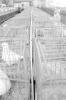 img020.jpeg.small.jpeg