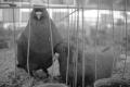 img022.jpeg.small.jpeg