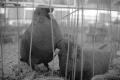 img023.jpeg.small.jpeg
