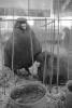 img024.jpeg.small.jpeg