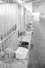 img025.jpeg.small.jpeg