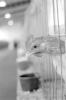 img029.jpeg.small.jpeg