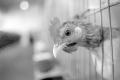 img030.jpeg.small.jpeg