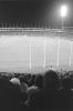 img003.jpeg.small.jpeg