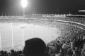 img005.jpeg.small.jpeg