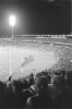 img014.jpeg.small.jpeg