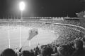 img015.jpeg.small.jpeg