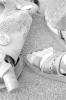 img019.jpeg.small.jpeg