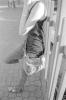 img022.jpeg.small.jpeg
