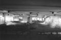 img016.jpeg.small.jpeg