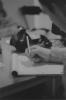 img014.jpeg.small.jpeg