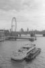 img033.jpeg.small.jpeg