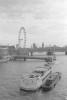 img034.jpeg.small.jpeg