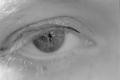 img023.jpeg.small.jpeg