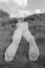 img025.jpeg.small.jpeg