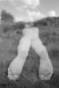 img026.jpeg.small.jpeg