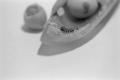 img010.jpeg.small.jpeg
