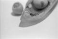 img011.jpeg.small.jpeg