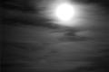 img019.jpeg.small.jpeg